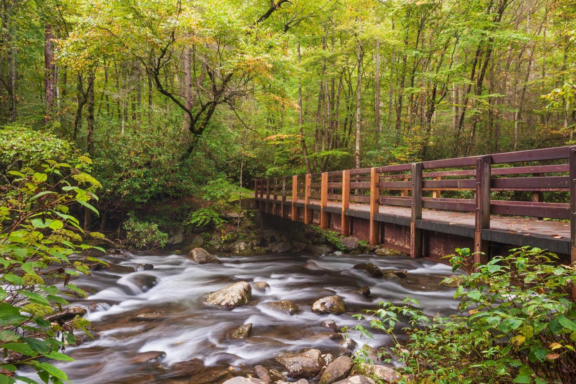 Highland Dream, Hot Tub, 1089 Free Tickets Each Paid Day, Dollywood And More Sevierville Exterior photo